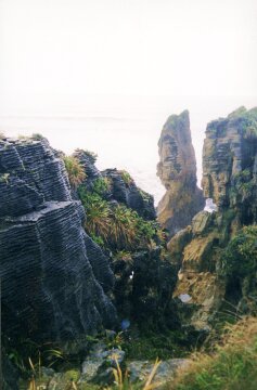 Formacje skalne - dolomit. Rezerwat Punakaiki (Pancake Rocks), Wybrzee Zachodnie.