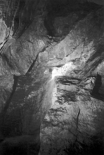White Pitch, Lamprechsofen cave - ph: S. Kotarba