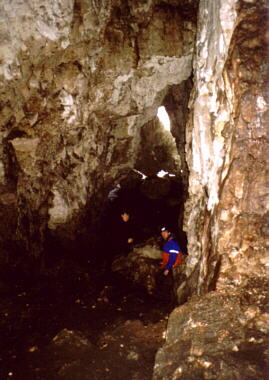 Gwna komora jaskini