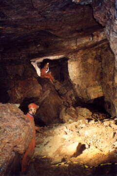 Kolektor w Jaskini Pajczej