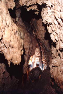 Porcelanowa Cave in Wojcieszów, photo: A. Czernenko