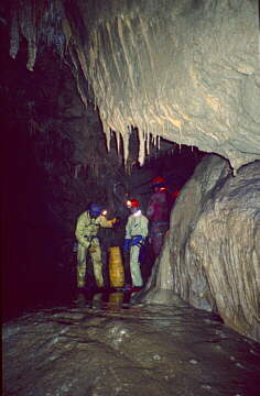 Przygotowania do wspinaczki w jaskini Rauriilor Suspendata