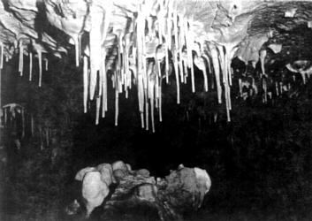 Nacieki w jaskini Wiernej, fot. M. Szelerewicz