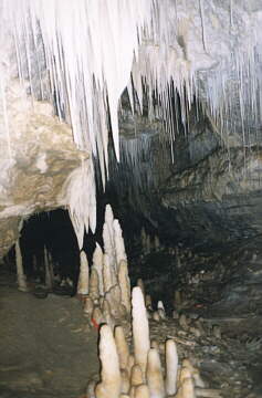Nacieki w Hollywood Cave, Wybrzeze Zachodnie