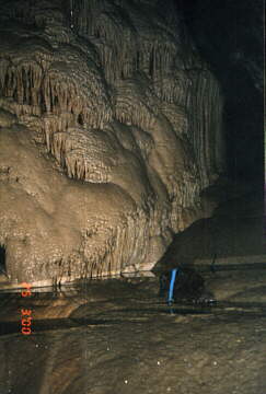 Polewa kalcytowa w Nettlebed Cave