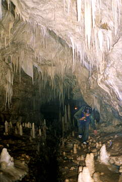 Nacieki w Hollywood Cave<br>Wybrzeze Zachodnie
